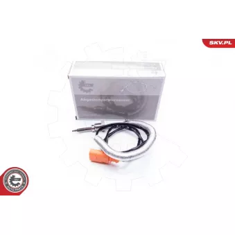 Capteur, température des gaz ESEN SKV