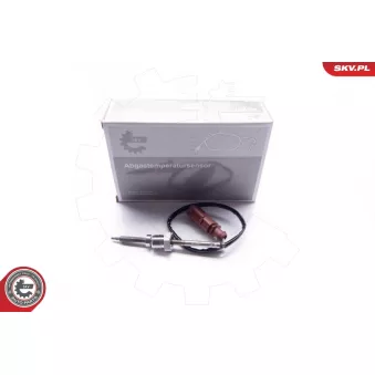 Capteur, température des gaz ESEN SKV 30SKV027