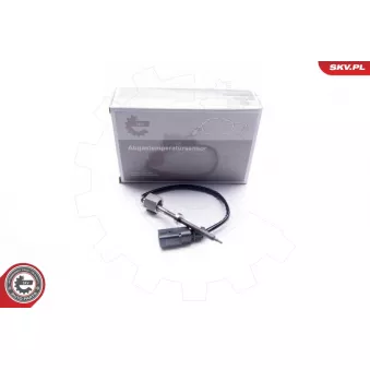 Capteur, température des gaz ESEN SKV 30SKV028