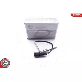 Capteur, température des gaz ESEN SKV 30SKV031