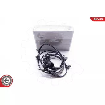 Capteur, température des gaz ESEN SKV 30SKV033