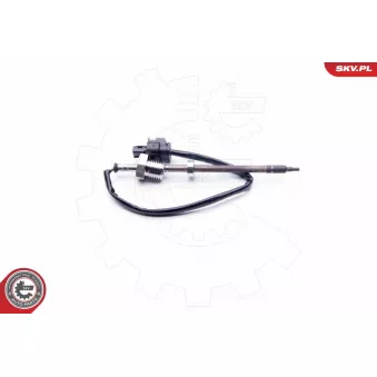 Capteur, température des gaz ESEN SKV 30SKV036