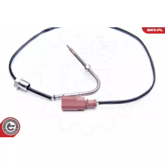 Capteur, température des gaz ESEN SKV 30SKV037