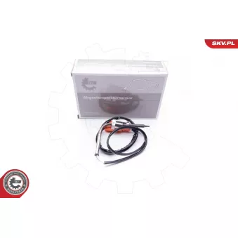 Capteur, température des gaz ESEN SKV 30SKV038
