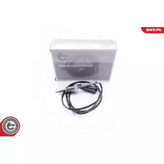 Capteur, température des gaz ESEN SKV 30SKV039