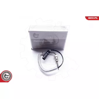 Capteur, température des gaz ESEN SKV 30SKV044