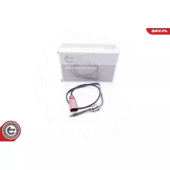 Capteur, température des gaz ESEN SKV