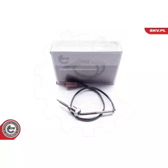 Capteur, température des gaz ESEN SKV 30SKV046