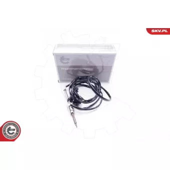 Capteur, température des gaz ESEN SKV 30SKV050
