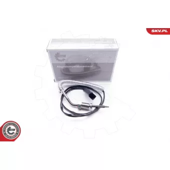 Capteur, température des gaz ESEN SKV