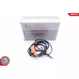 Capteur, température des gaz ESEN SKV 30SKV052