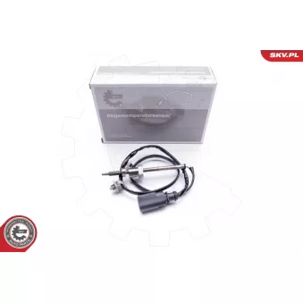 Capteur, température des gaz ESEN SKV 30SKV053