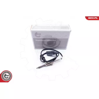 Capteur, température des gaz ESEN SKV 30SKV055