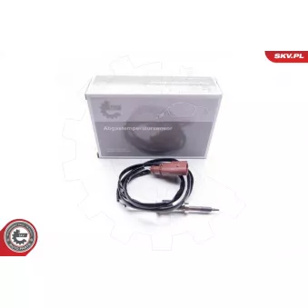 Capteur, température des gaz ESEN SKV 30SKV060