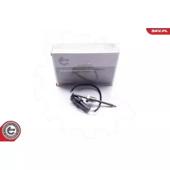 Capteur, température des gaz ESEN SKV 30SKV067