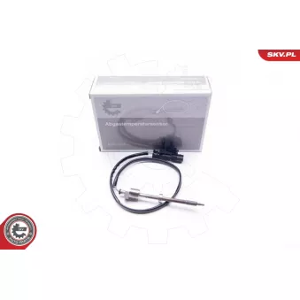 Capteur, température des gaz ESEN SKV 30SKV069