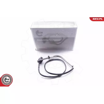 Capteur, température des gaz ESEN SKV 30SKV072