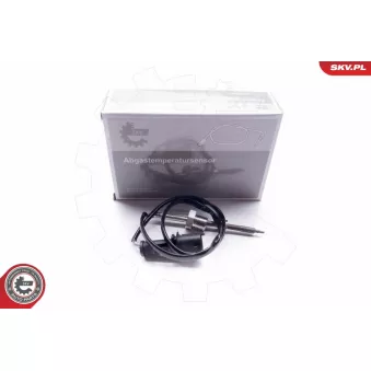 Capteur, température des gaz ESEN SKV 30SKV073