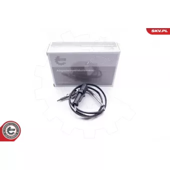 Capteur, température des gaz ESEN SKV 30SKV075