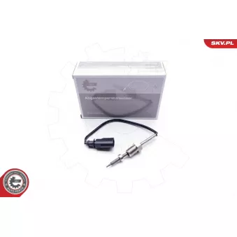 Capteur, température des gaz ESEN SKV