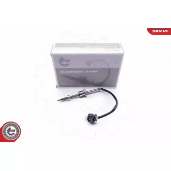 Capteur, température des gaz ESEN SKV 30SKV082