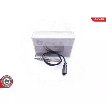 Capteur, température des gaz ESEN SKV 30SKV084