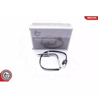 Capteur, température des gaz ESEN SKV