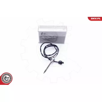 Capteur, température des gaz ESEN SKV 30SKV091