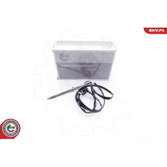 Capteur, température des gaz ESEN SKV 30SKV092