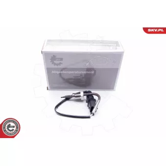 Capteur, température des gaz ESEN SKV 30SKV094