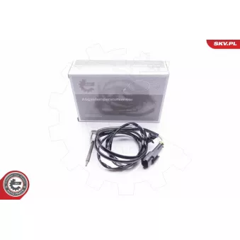 Capteur, température des gaz ESEN SKV 30SKV095