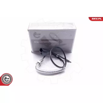 Capteur, température des gaz ESEN SKV 30SKV096