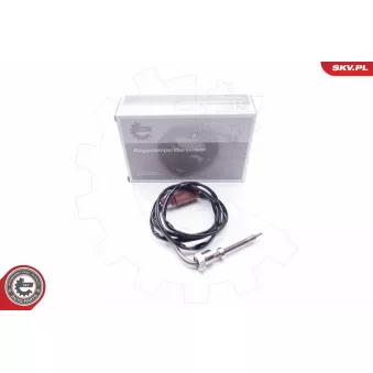 Capteur, température des gaz ESEN SKV 30SKV098