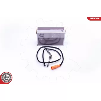 Capteur, température des gaz ESEN SKV 30SKV100