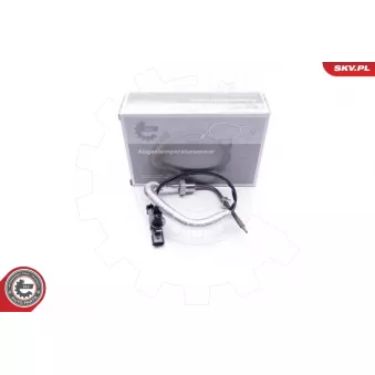 Capteur, température des gaz ESEN SKV 30SKV102