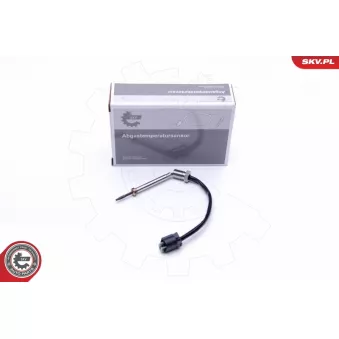 Capteur, température des gaz ESEN SKV