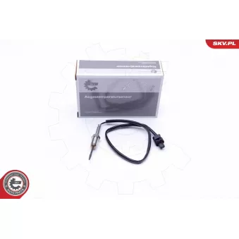 Capteur, température des gaz ESEN SKV 30SKV104