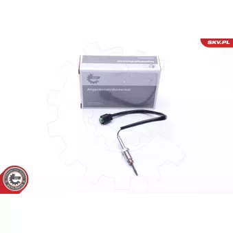 Capteur, température des gaz ESEN SKV 30SKV106