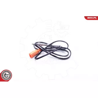 Capteur, température des gaz ESEN SKV