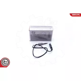 Capteur, température des gaz ESEN SKV 30SKV108