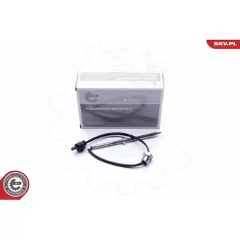 Capteur, température des gaz ESEN SKV 30SKV112