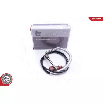 Capteur, température des gaz ESEN SKV 30SKV114