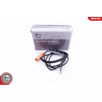 Capteur, température des gaz ESEN SKV 30SKV115
