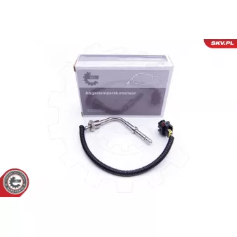 Capteur, température des gaz ESEN SKV 30SKV116