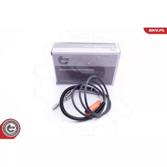 Capteur, température des gaz ESEN SKV