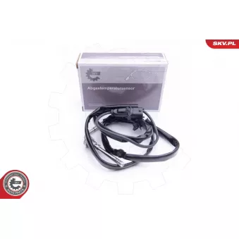 Capteur, température des gaz ESEN SKV 30SKV123