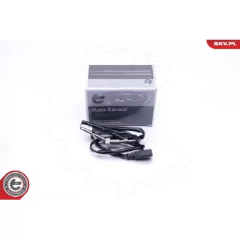 Capteur, température des gaz ESEN SKV