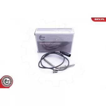 Capteur, température des gaz ESEN SKV 30SKV126