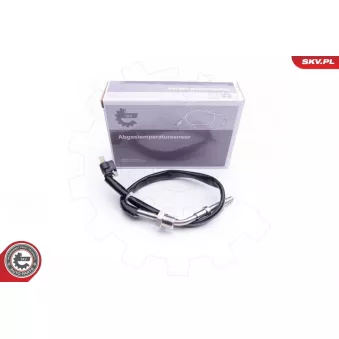 Capteur, température des gaz ESEN SKV 30SKV128