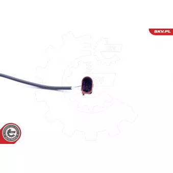 Capteur, température des gaz ESEN SKV 30SKV130